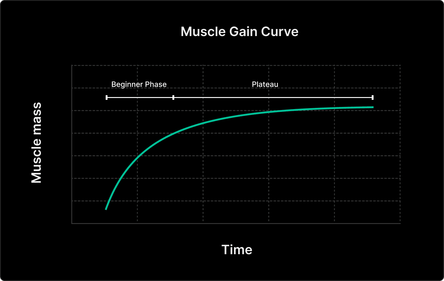 A chart illustrating the curve of muscle gain over time, highlighting a plateau where progress
slows down without a bulking strategy.