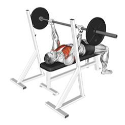 Illustration of Bench Press - Reverse Grip (Barbell) exercise