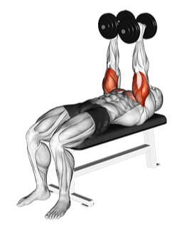 Illustration of Bench Press - Close Grip (Dumbbell) exercise