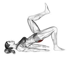 Illustration of Glute March exercise