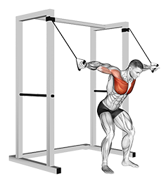 Illustration of Chest Fly (Band) exercise
