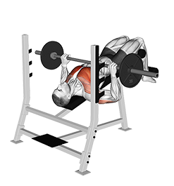 Illustration of Decline Bench Press (Barbell) exercise