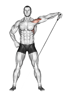 Illustration of Side Lateral Raise (Cable) exercise
