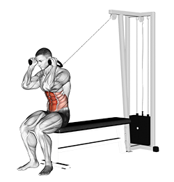 Illustration of Cable Crunch exercise