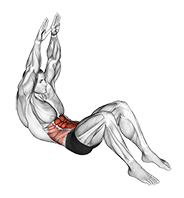 Illustration of Crunch exercise