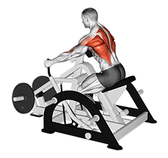 Illustration of Iso-Lateral Row (Machine) exercise