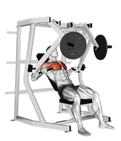 Illustration of Decline Chest Press (Machine) exercise